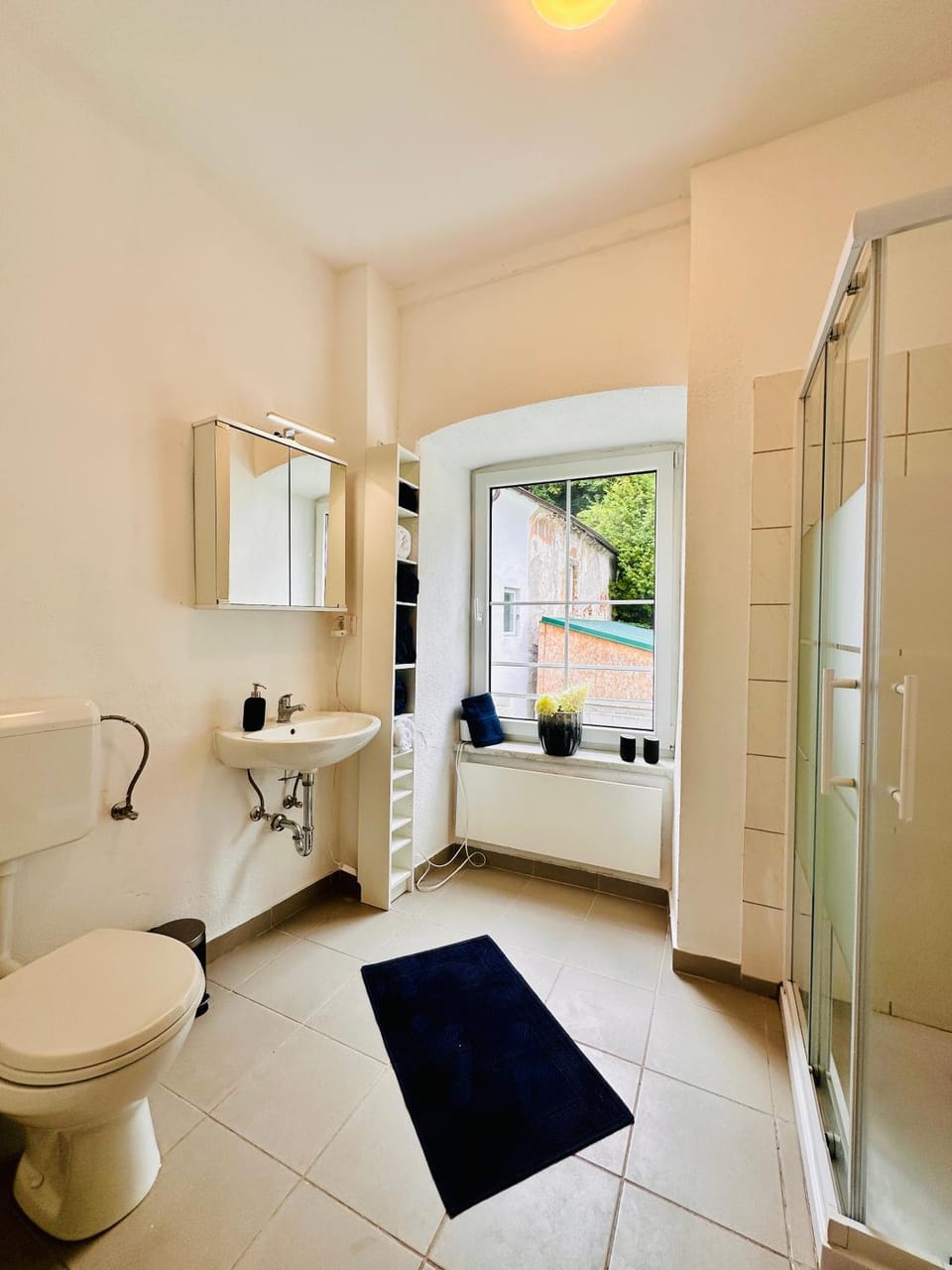 Shower, Toilet, Bathroom, towels