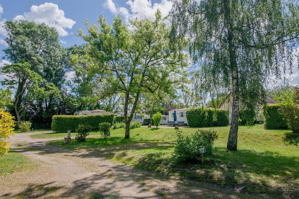 Natural landscape, Garden, Garden view