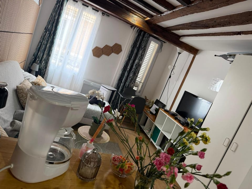Exceptionnel studio tout équipé - Idéal Séjour Disneyland Apartment in Île-de-France