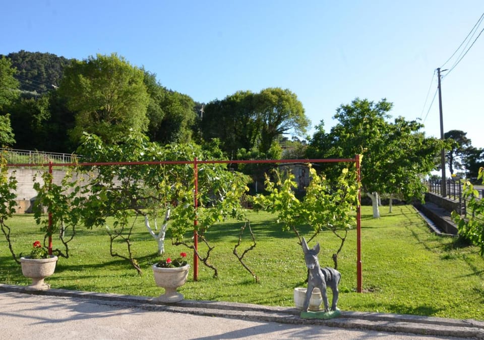 Patio, Spring, Garden, Text overlay, Garden view, Parking