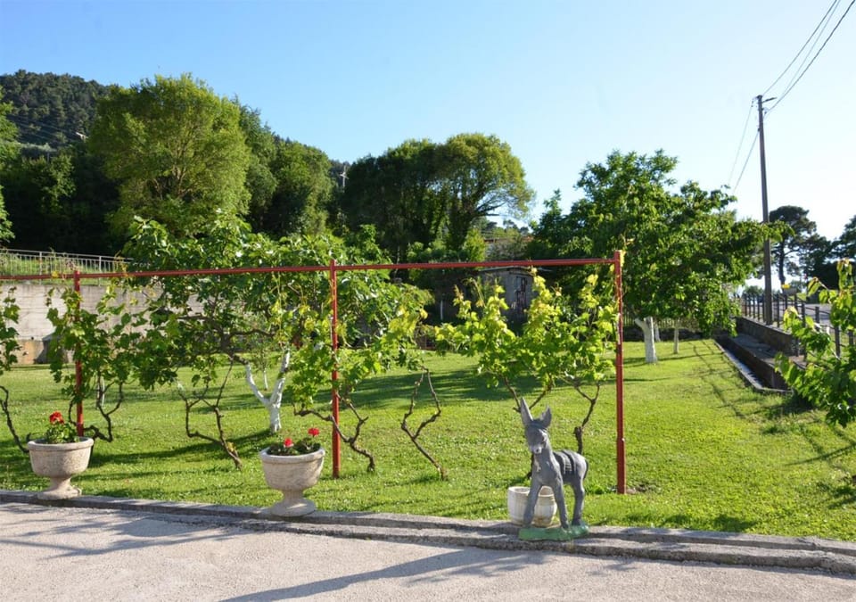 Patio, Children play ground, Garden, Garden, Mountain view, Street view