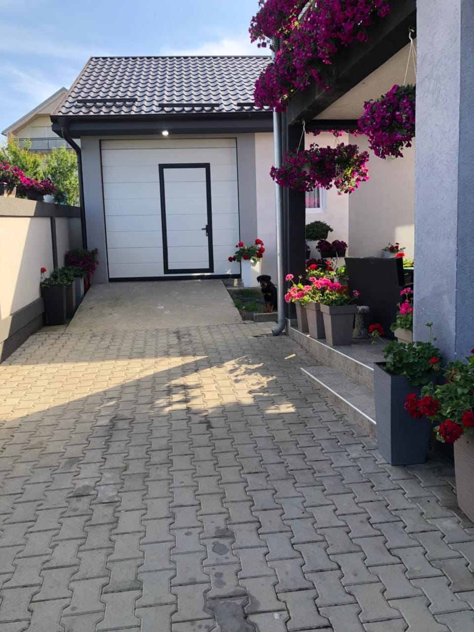 Kristina House Villa in Serbia