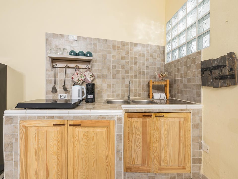 Kitchen or kitchenette, minibar, pet friendly, stove, toaster