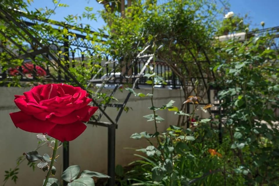 Casa Αrezio Apartment in Chania