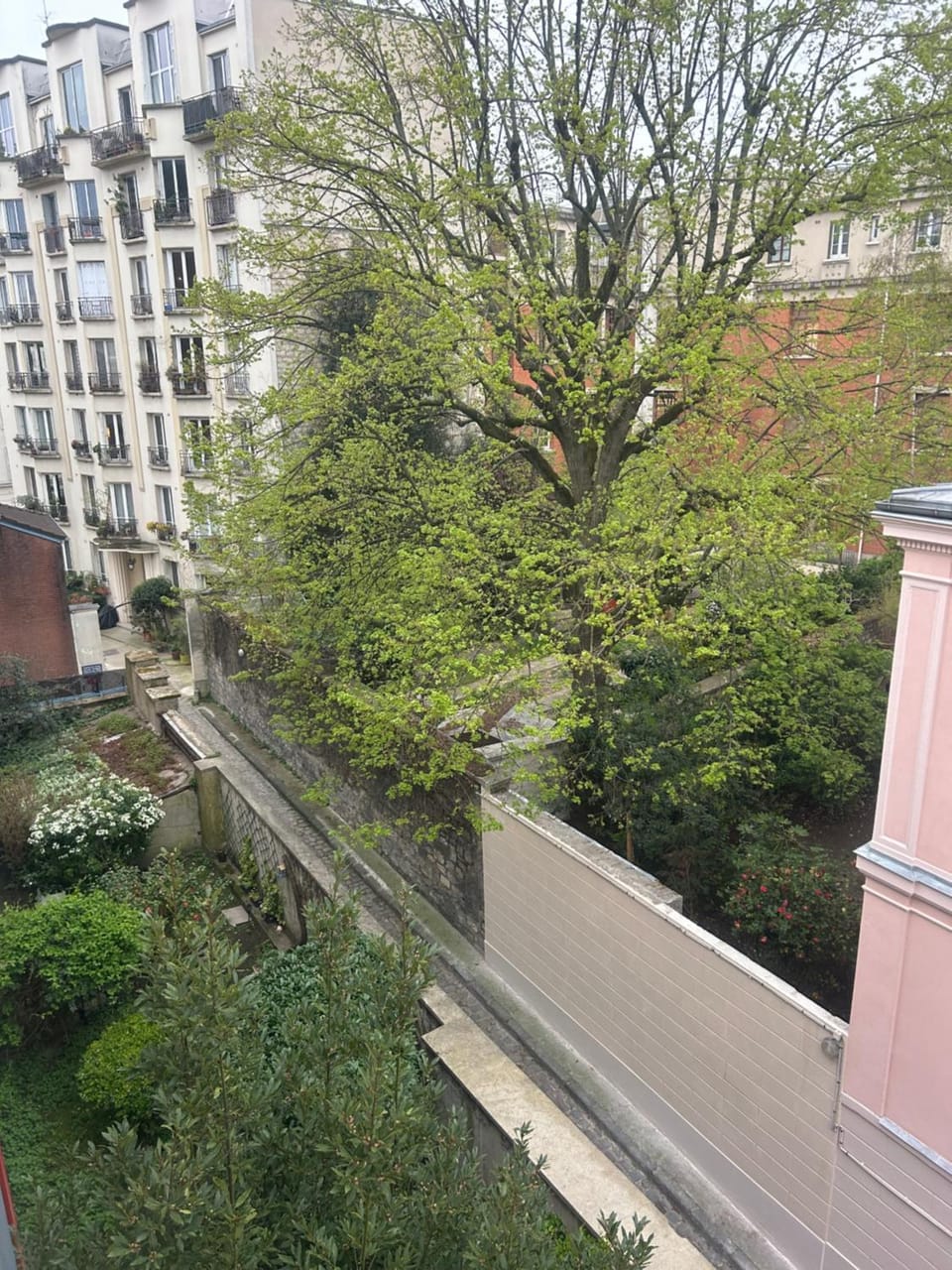 Spring, Day, Garden, Garden view