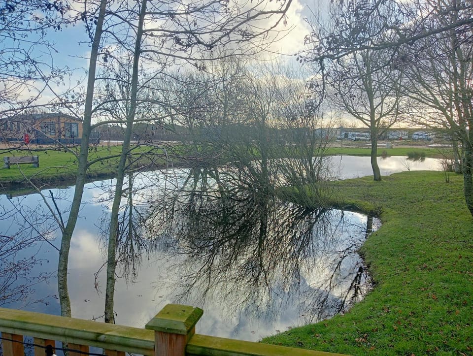 Lake view