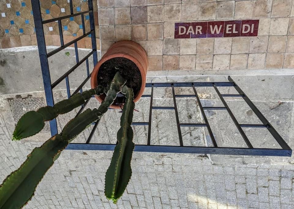 Dar Weldi, maison au coeur de la kasbah House in Tangier