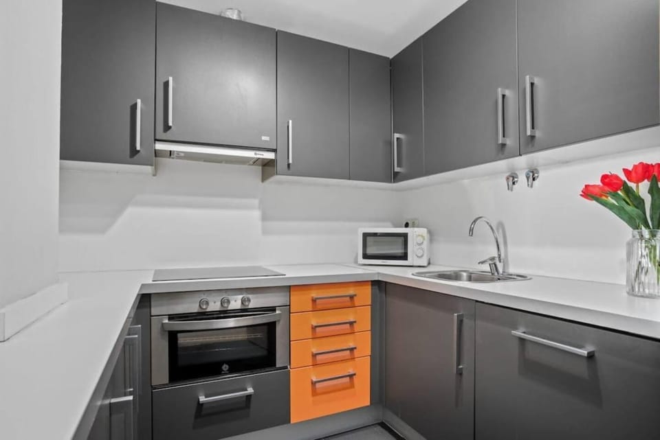 El Mirador by Cardi Suites Apartment in Formigal