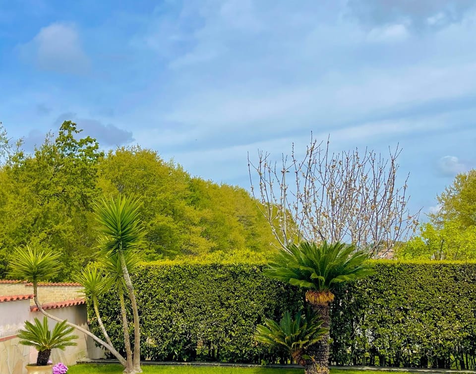 Natural landscape, Garden, Garden view