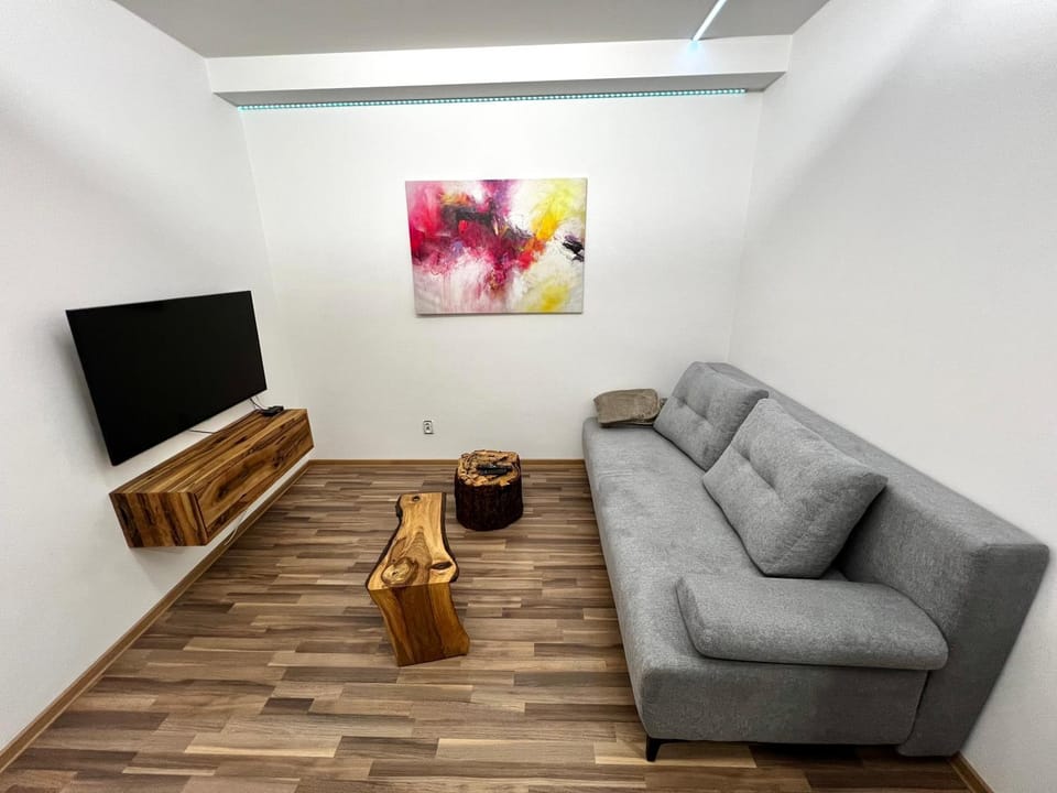 Palackého Lobby Apartment Apartment in South Moravian Region