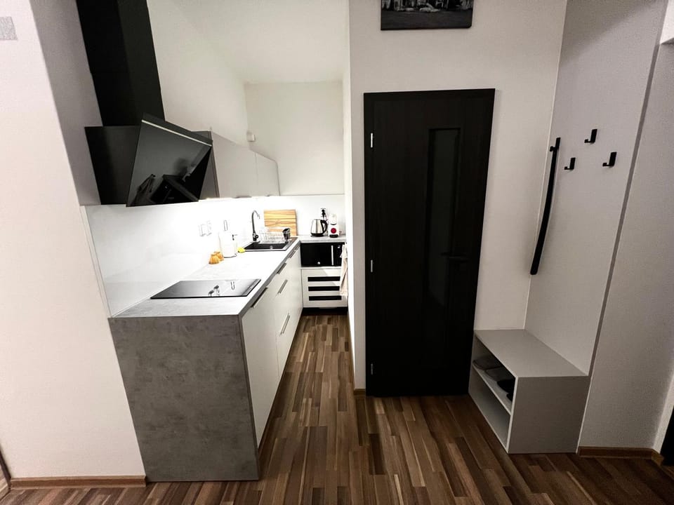 Palackého Lobby Apartment Apartment in South Moravian Region