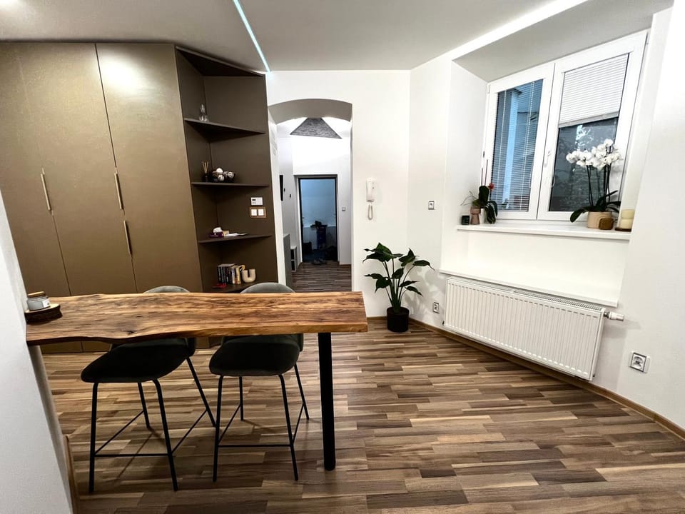 Palackého Lobby Apartment Apartment in South Moravian Region