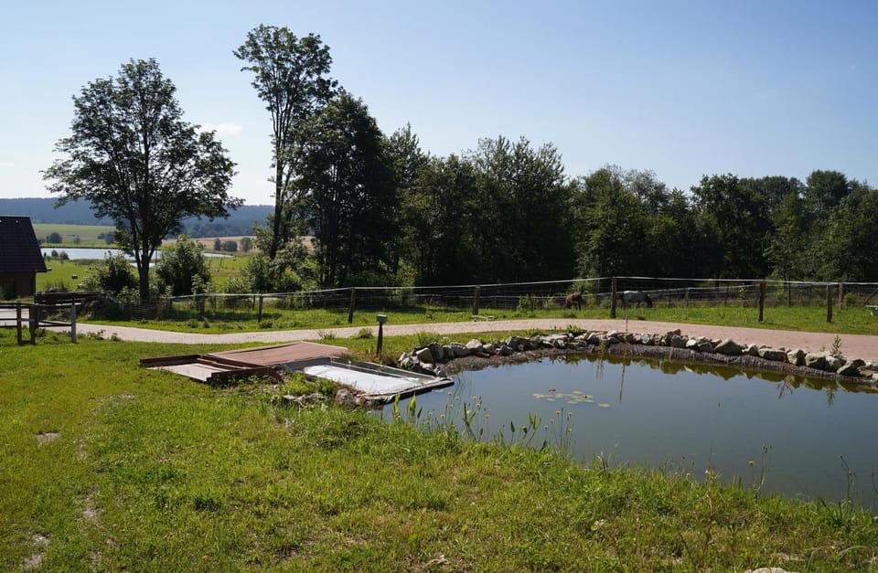 Penzion Vysoká Farm Stay in Czechia