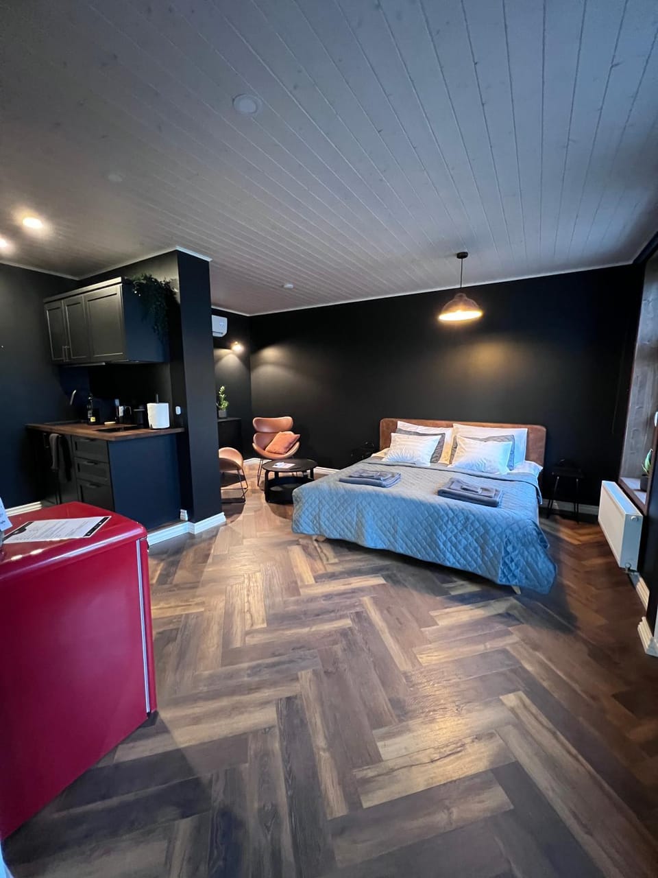 Kitchen or kitchenette, Living room, Photo of the whole room, Seating area, Bedroom