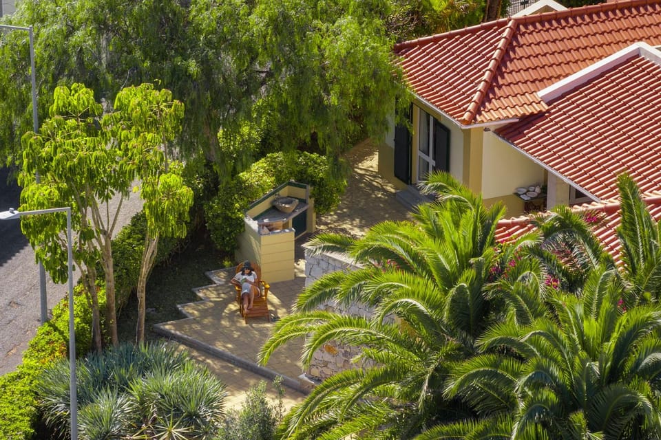 Property building, Day, Garden