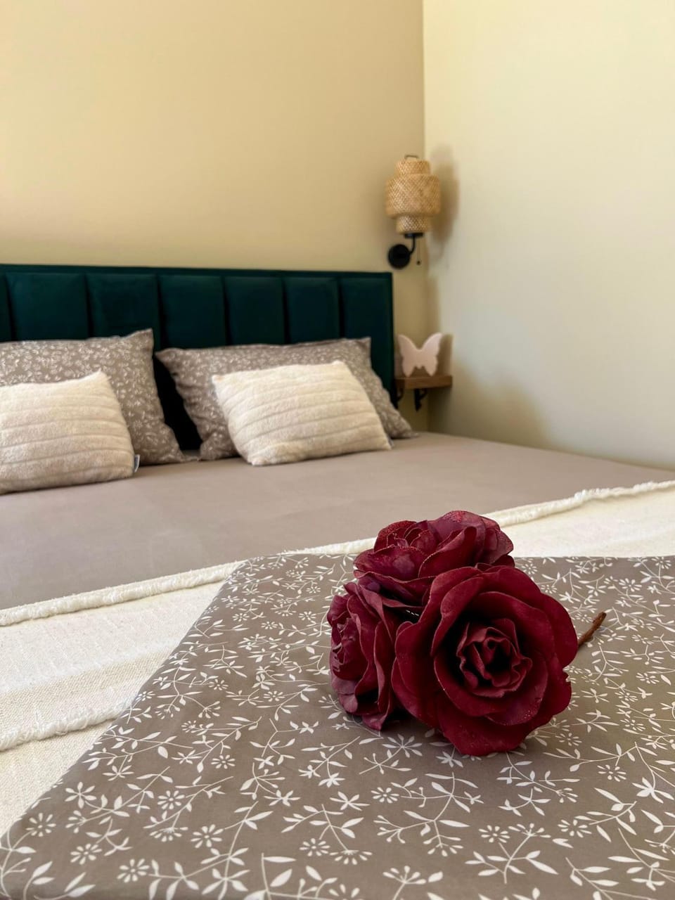 Studio apartman Mia Apartment in Murter