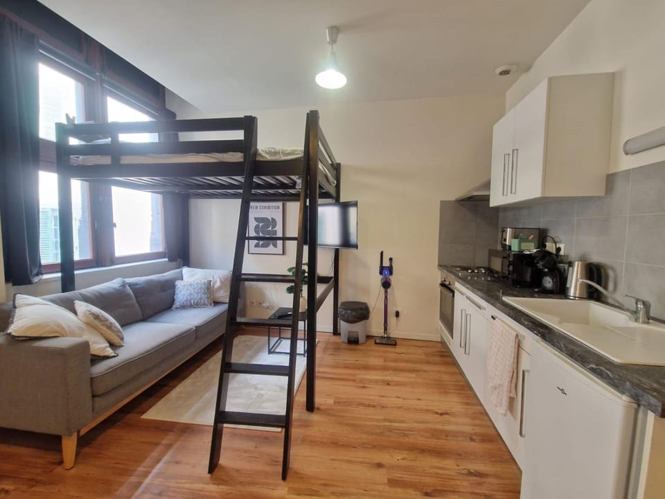 Le Rodade #Quartier Historique#Calme Apartment in Clermont-Ferrand
