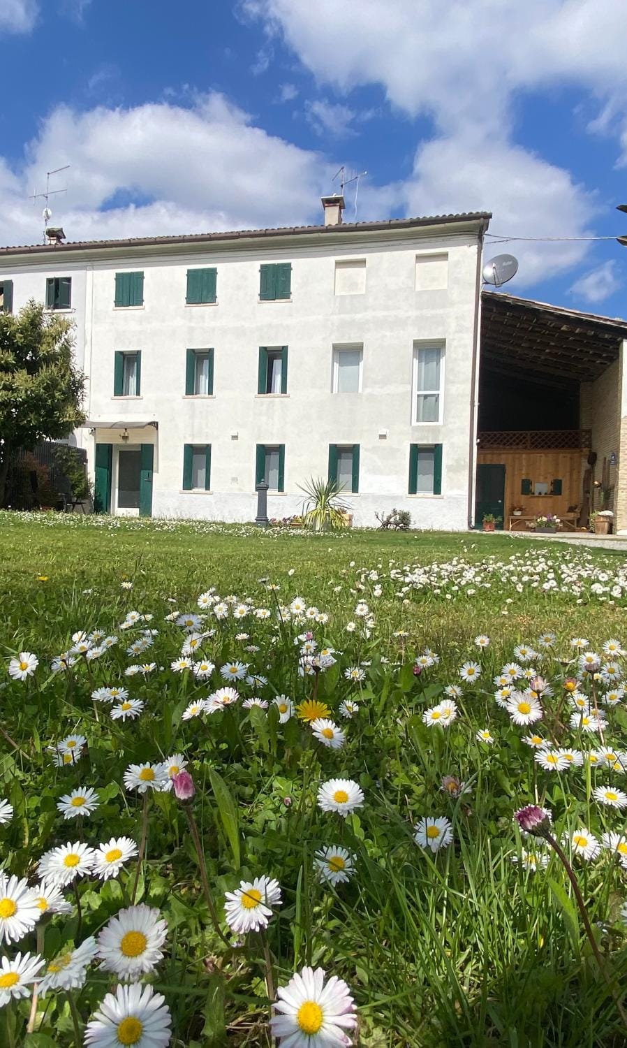 Property building, Garden, Garden view