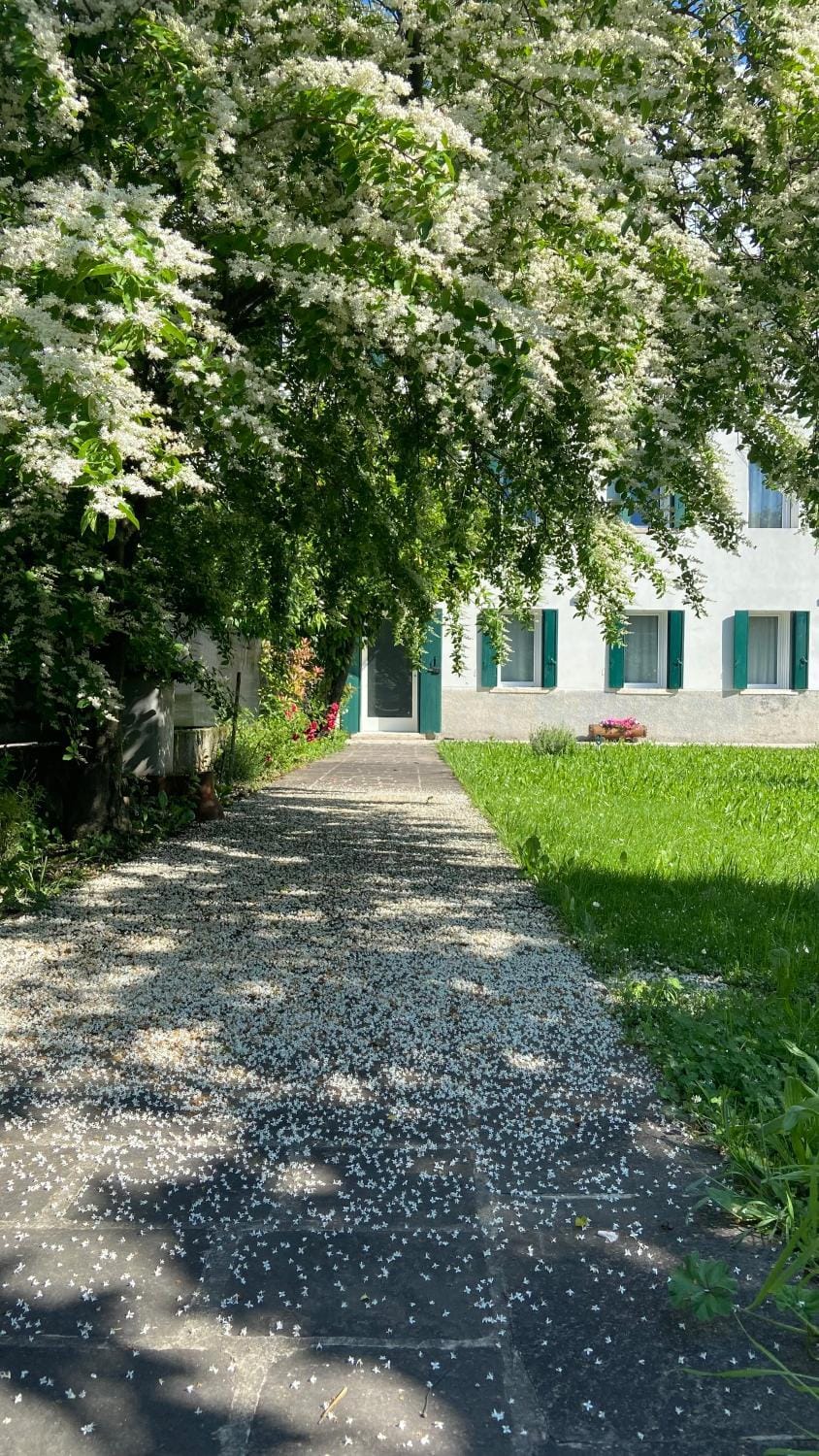 Property building, Day, Natural landscape, Garden, Garden view