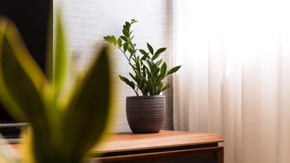 Original Sunny place Apartment in Podgorica