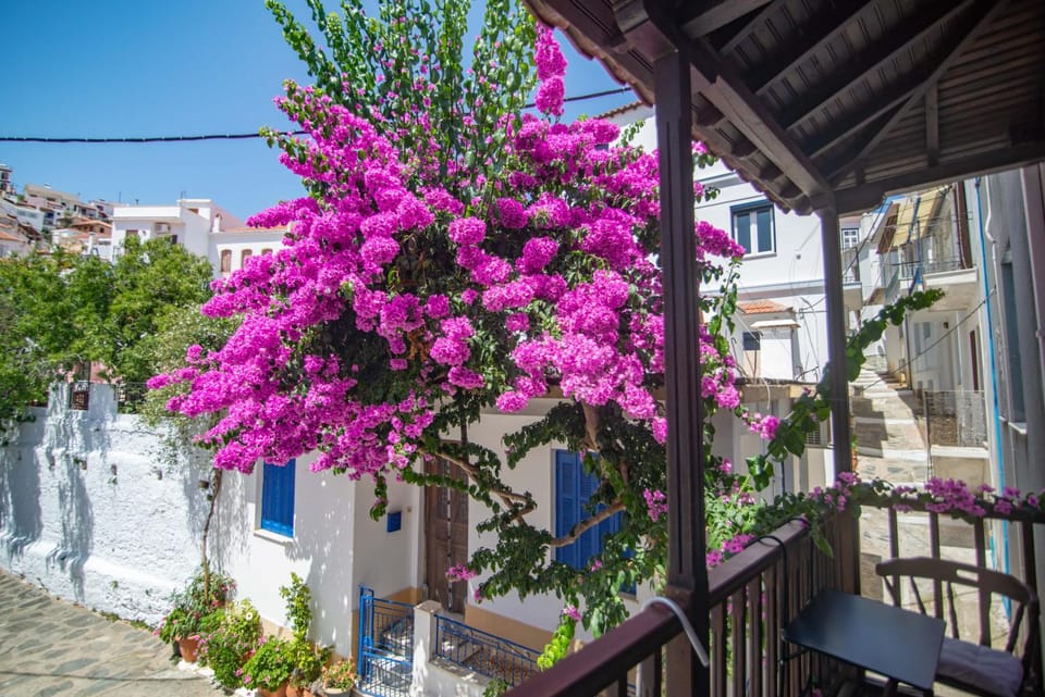 View (from property/room), Balcony/Terrace