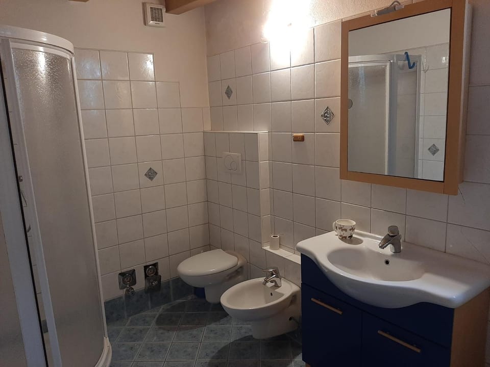 Shower, Toilet, Bathroom, bidet