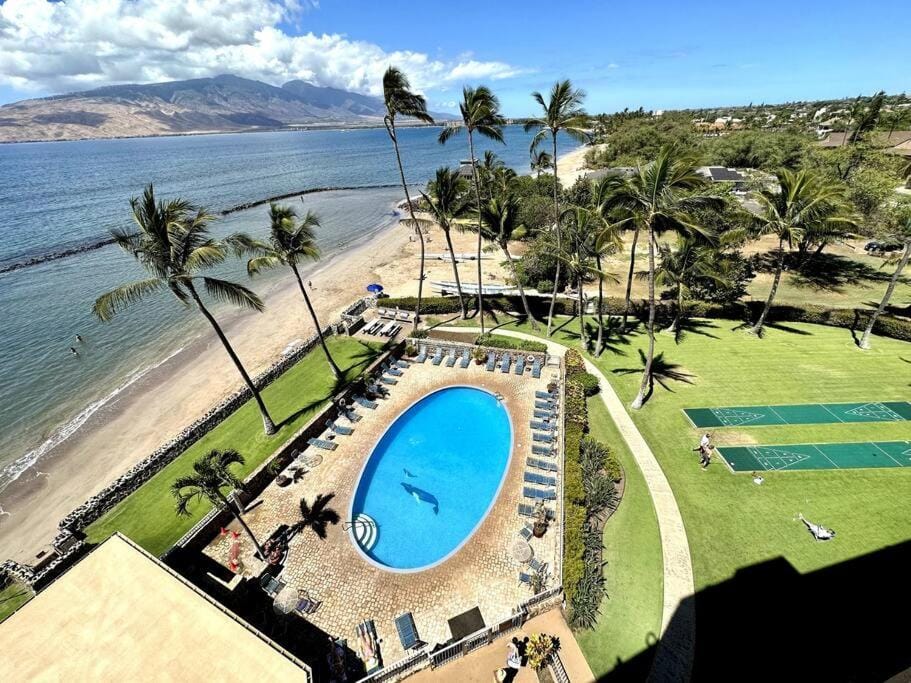 Day, Bird's eye view, Beach, Pool view, Sea view, Swimming pool, sunbed