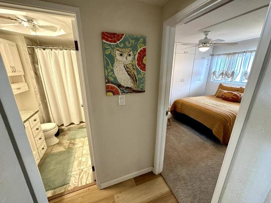 Shower, Bed, Bathroom, Bedroom, towels