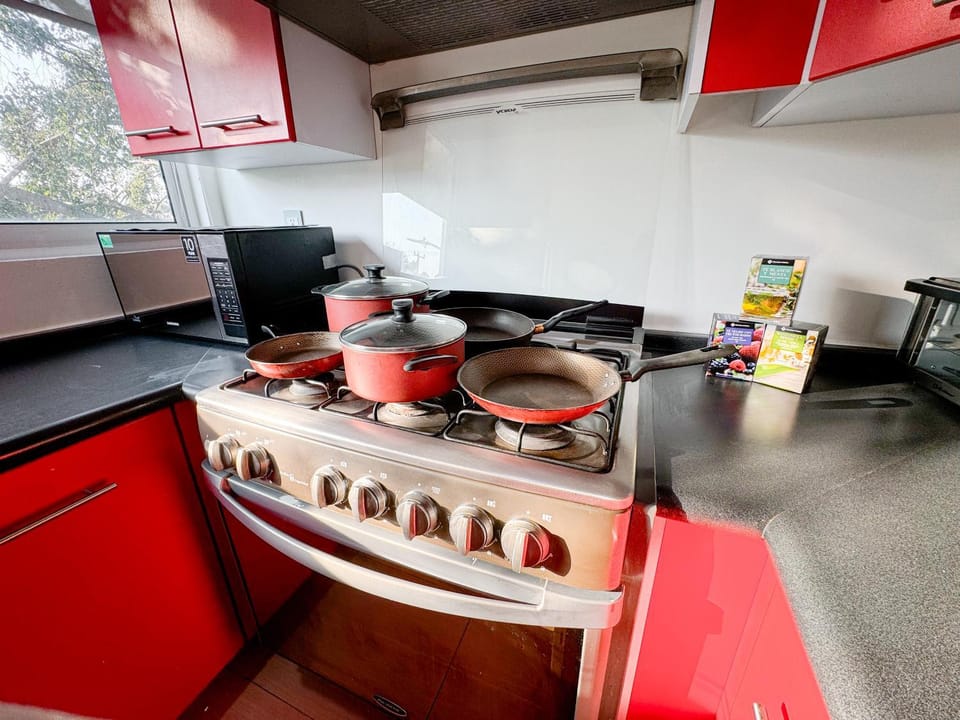 Full Apartment 15 min from Airport, Coyoacán, Foro Sol Apartment in Mexico City