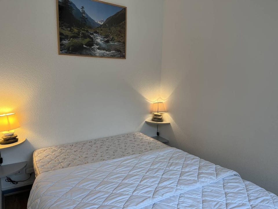 Appartement T2 rénové centre Cauterets - 4 pers - FR-1-234-316 Apartment in Cauterets