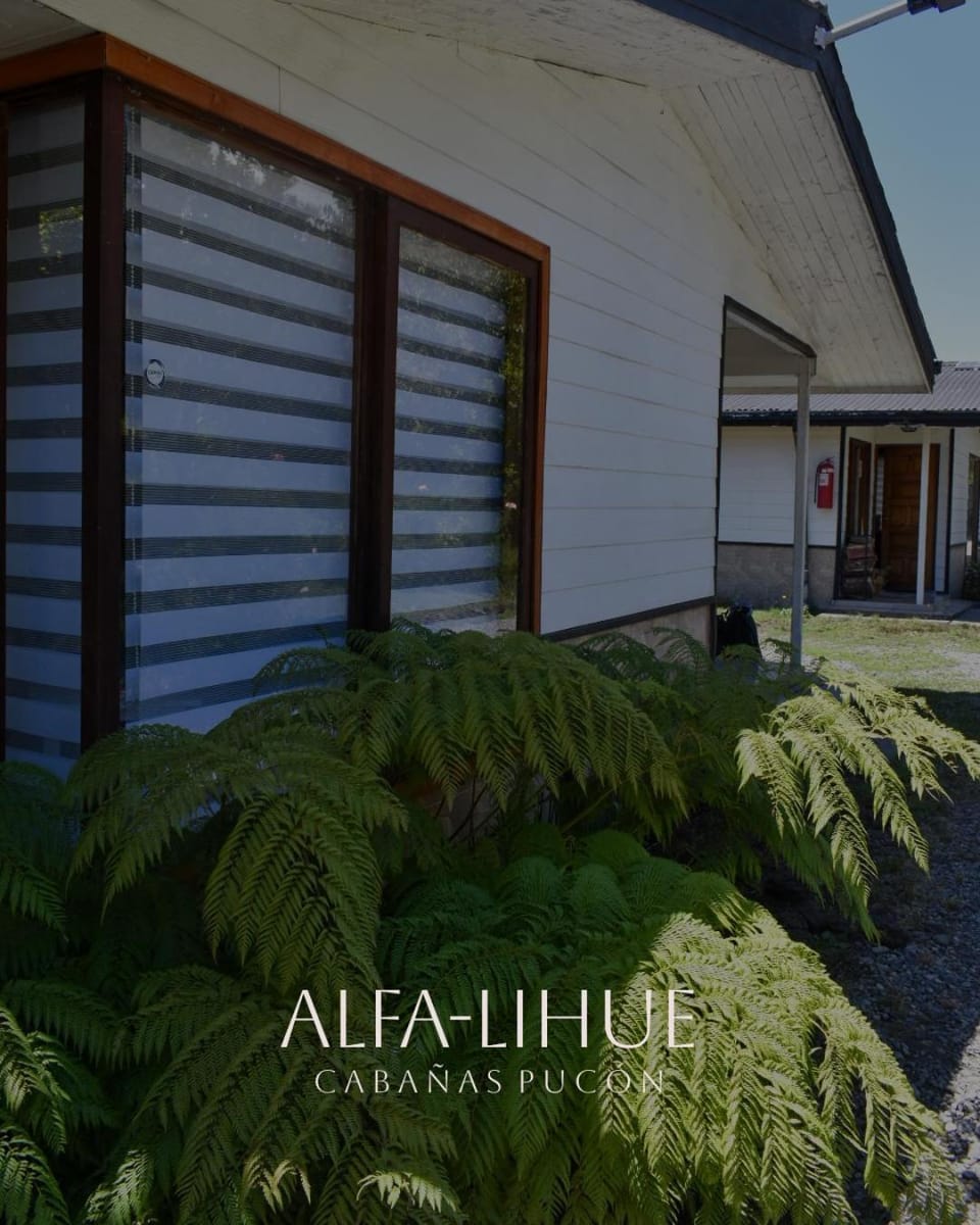 Cabañas Alfa-lihue House in Pucon