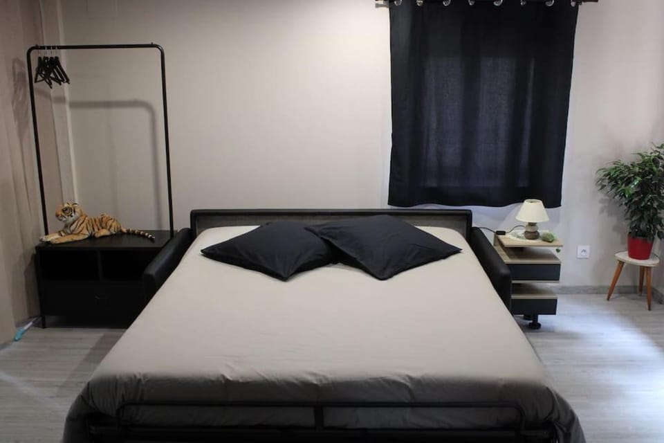 Spacieux duplex 1 à 6 personnes Apartment in Grand Est