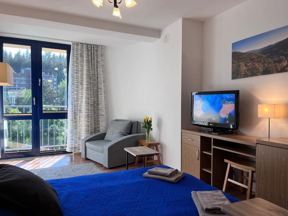 TV and multimedia