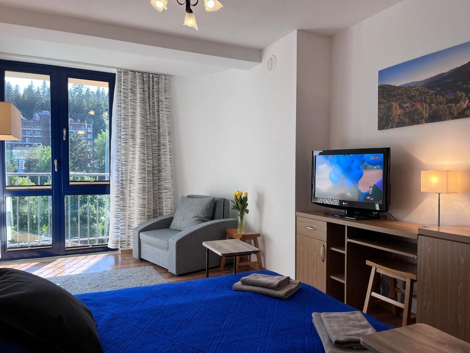 TV and multimedia