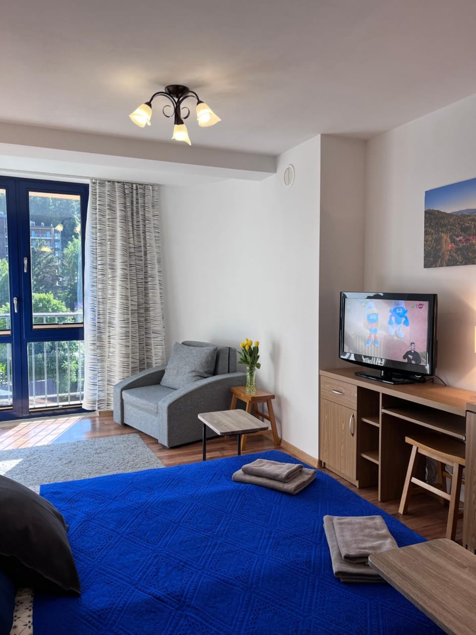 Communal lounge/ TV room, Bed, TV and multimedia, Living room, Photo of the whole room, Seating area, Bedroom