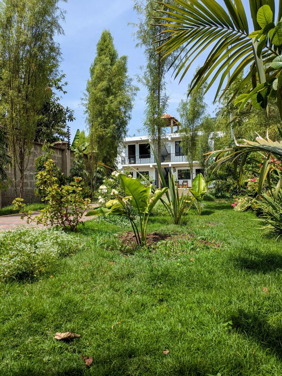 Garden, Garden view