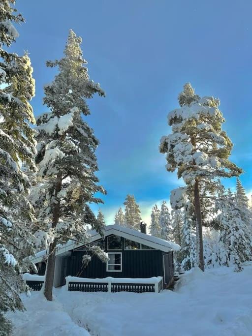 Property building, Winter