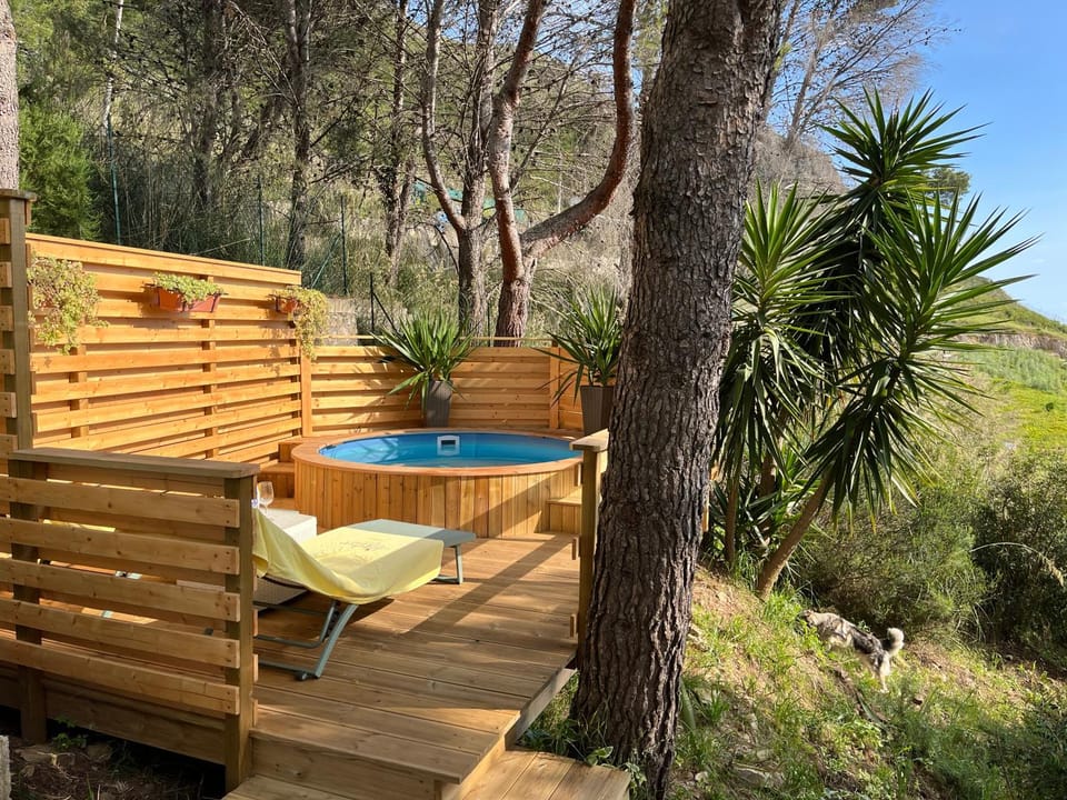 Patio, Day, Natural landscape, Garden, Garden view, Pool view, Swimming pool, sunbed