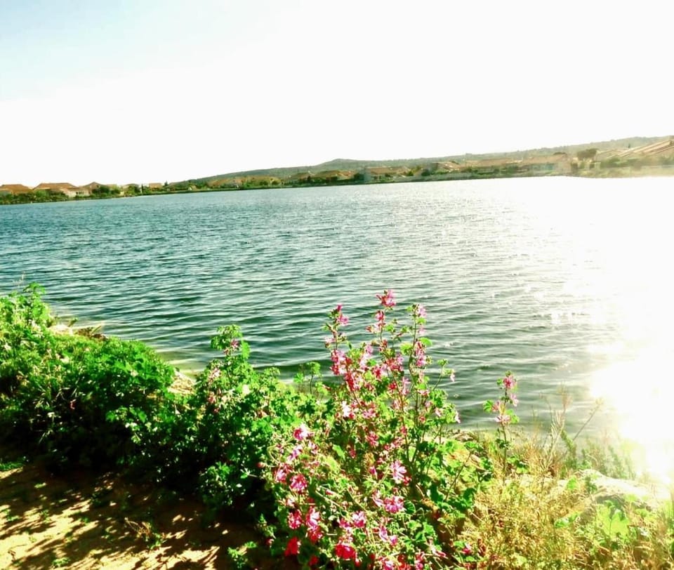 Natural landscape