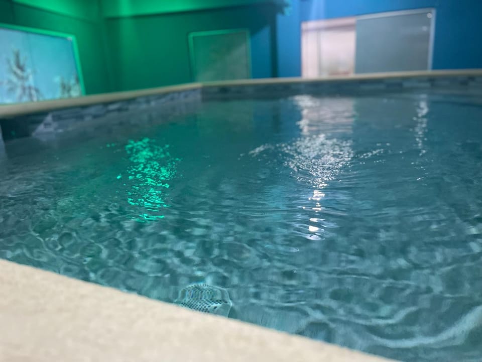 Citrine-GymBeaches and AirportIndoor Pool Apartment in Crown Point
