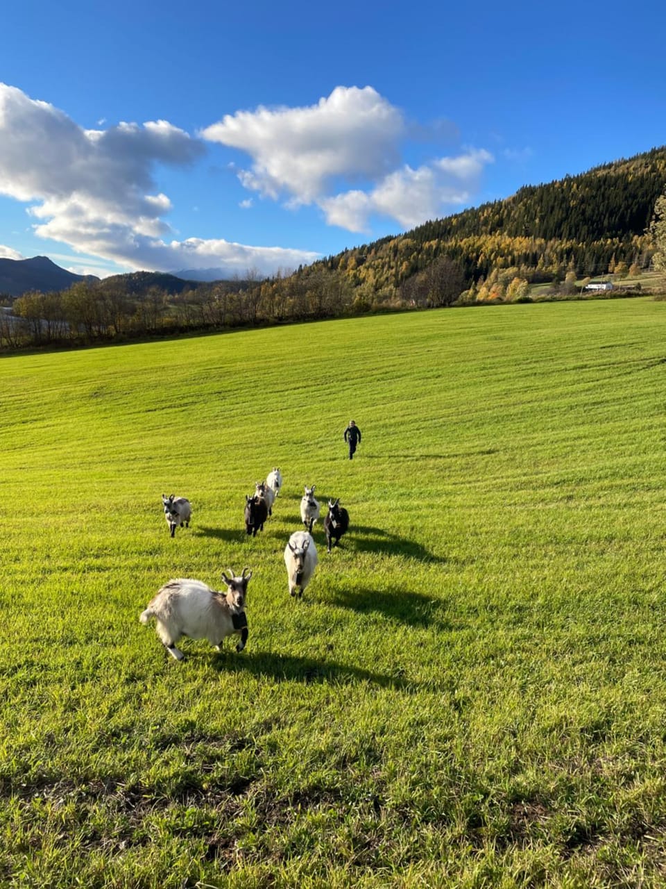 Lomen Gardshytter i Valdres H8 House in Innlandet