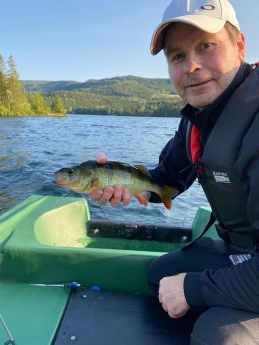 Lomen Gardshytter i Valdres H8 House in Innlandet