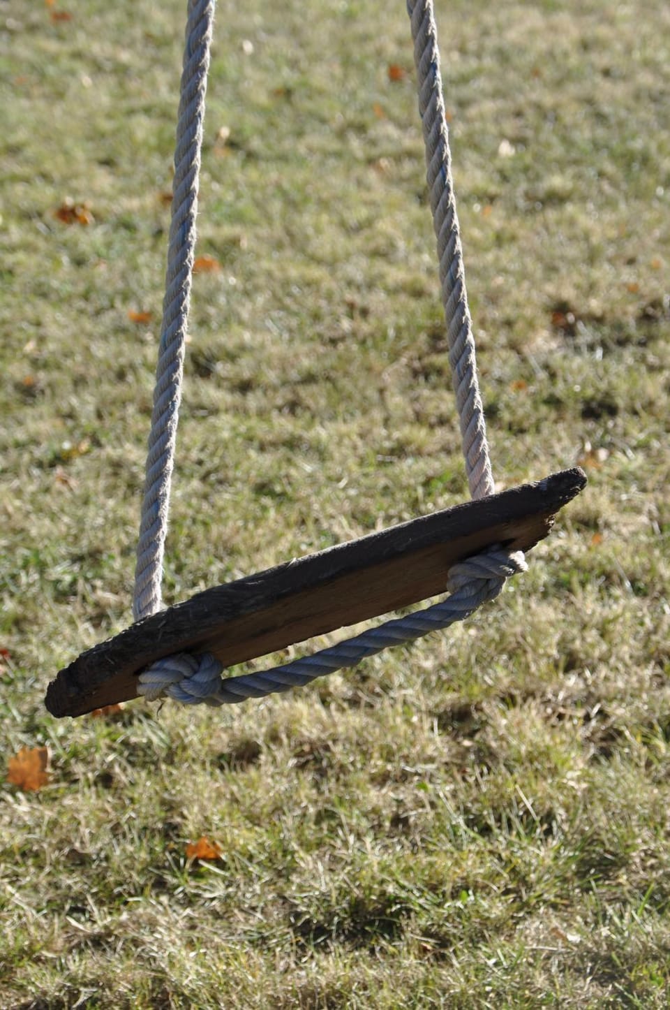 Grande Maison avec Piscine, juillet et août, Jardin Privatives à NYONS Villa in Provence-Alpes-Côte d'Azur