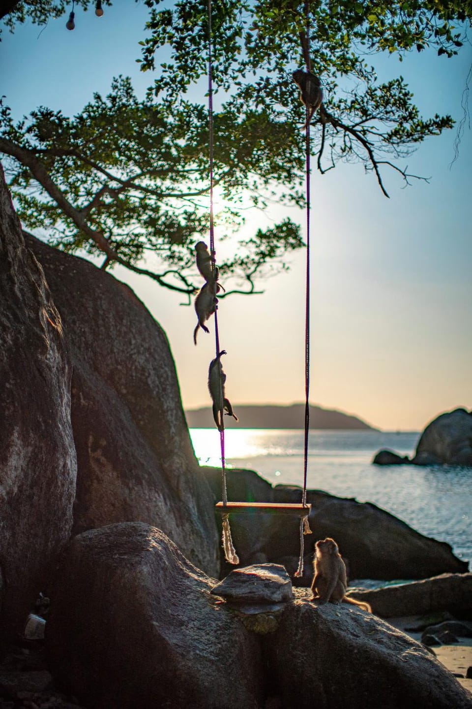 Natural landscape, Beach, Sea view