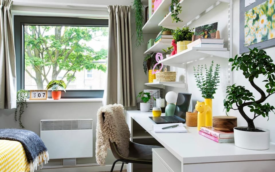 Seating area, Bedroom, furniture