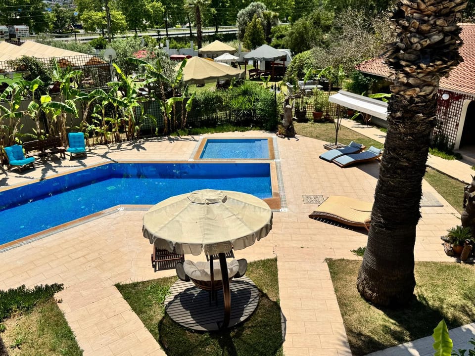 Day, Natural landscape, Garden, Garden view, Pool view, Swimming pool, sunbed
