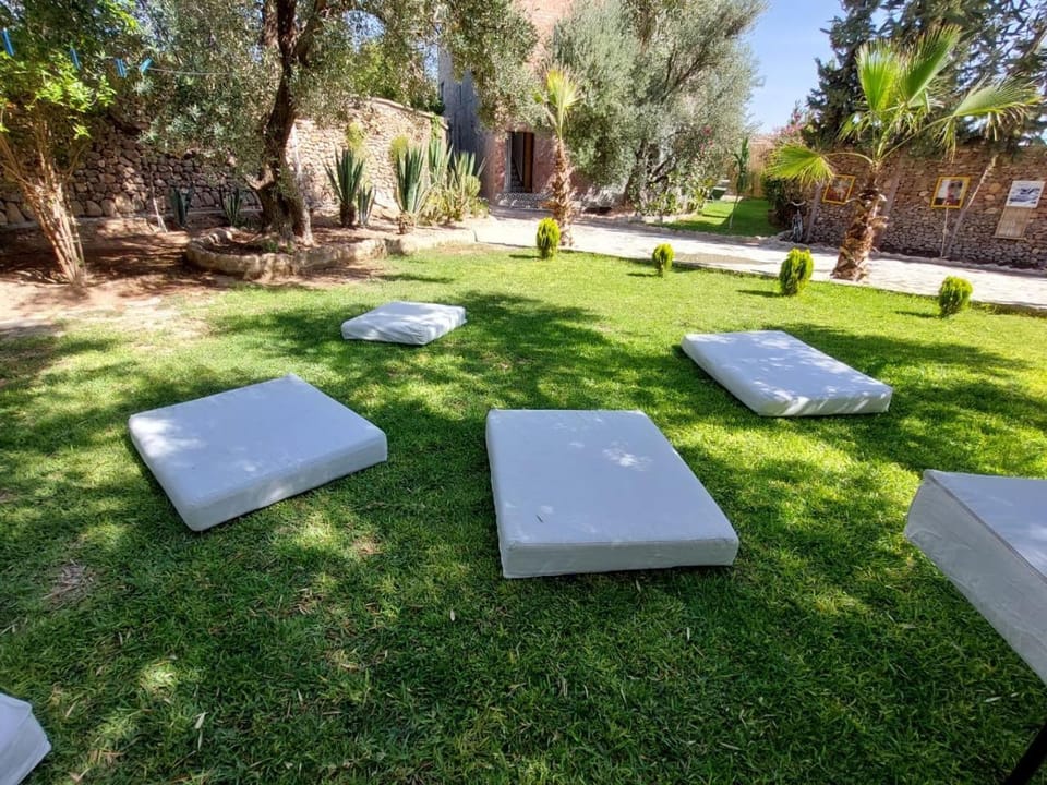 Garden, Garden view, Swimming pool
