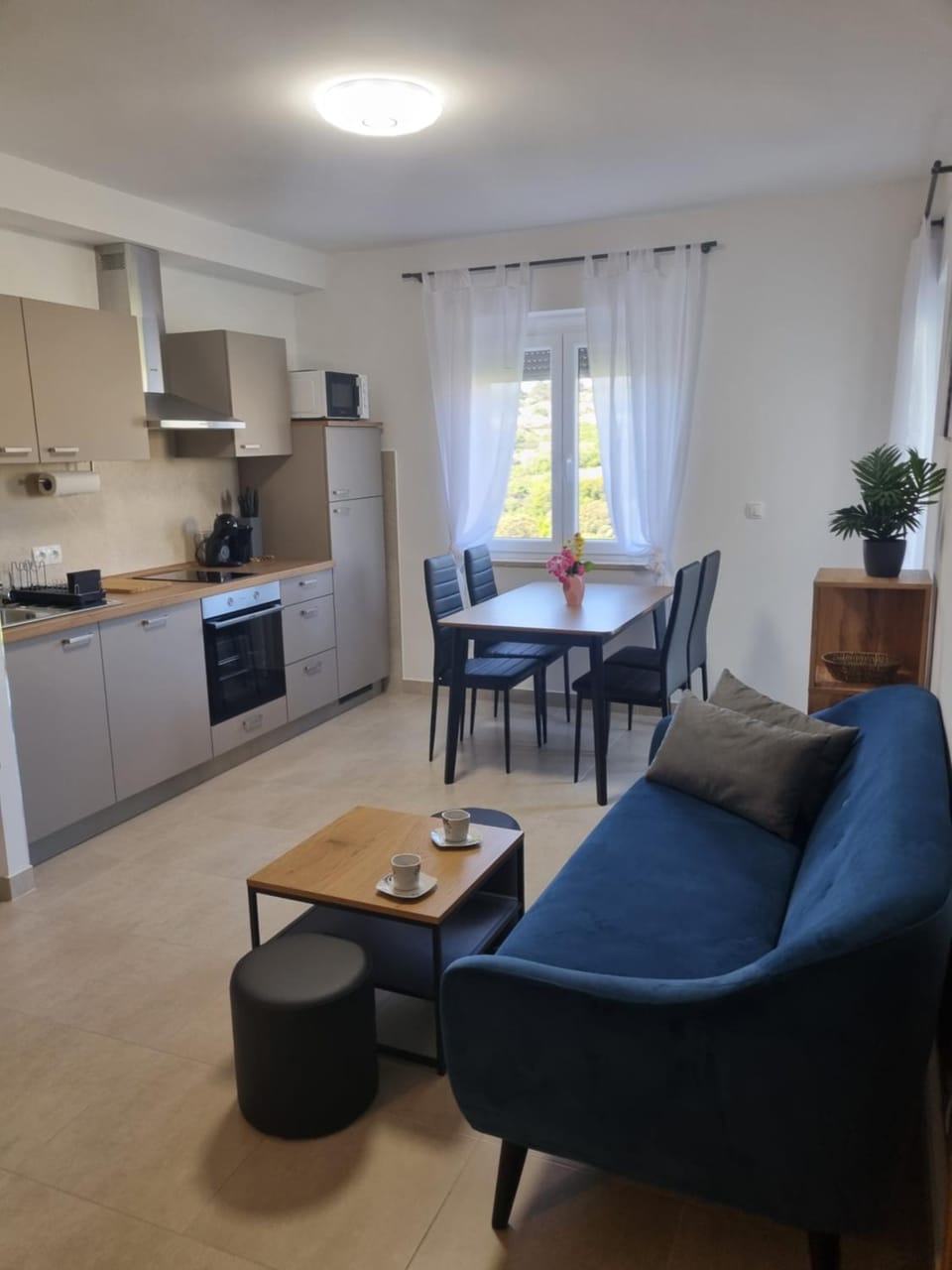 Kitchen or kitchenette, Living room, Seating area, Dining area, oven, stove