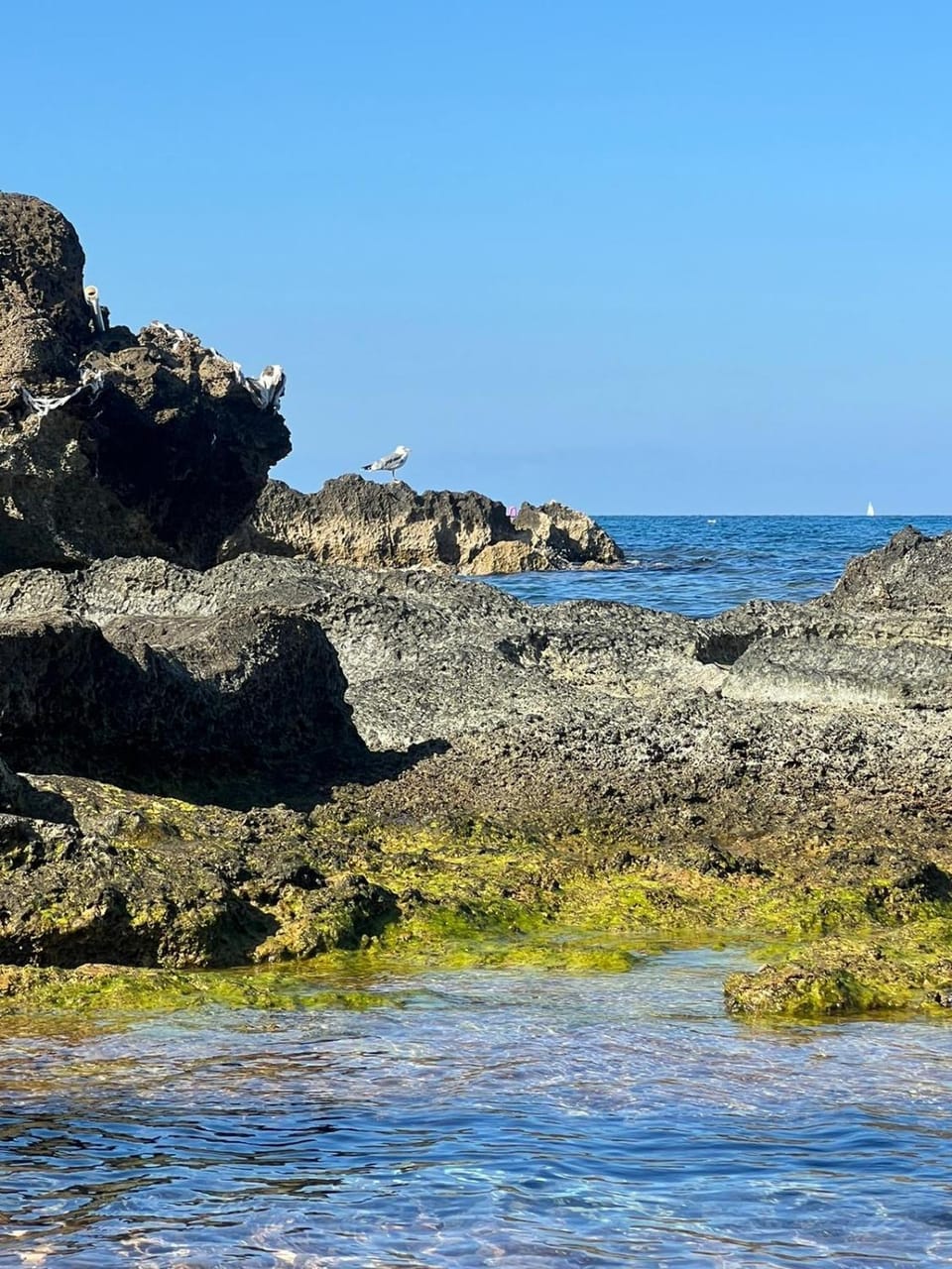 Natural landscape
