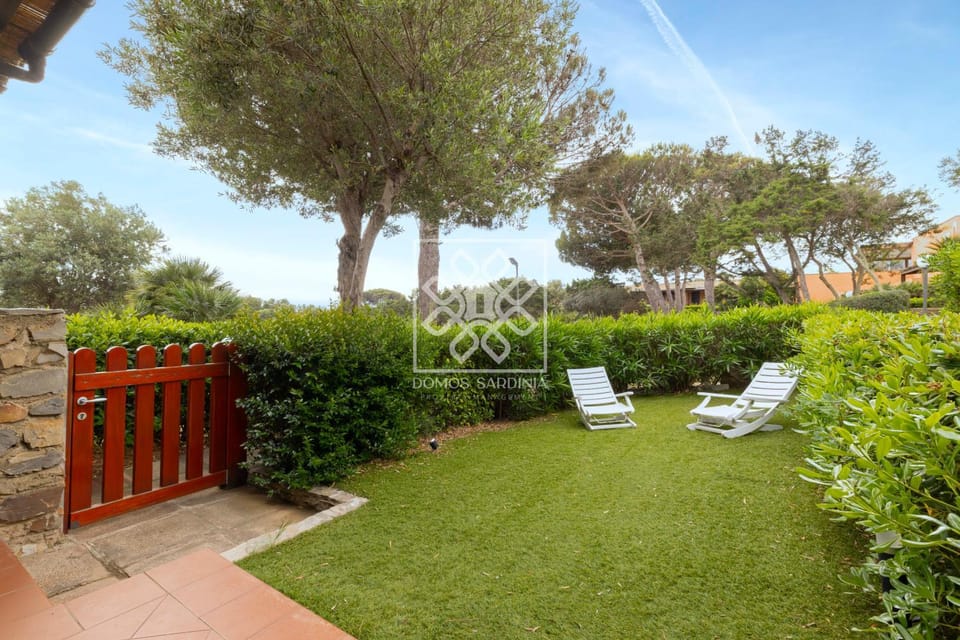 Garden, Garden view, sunbed